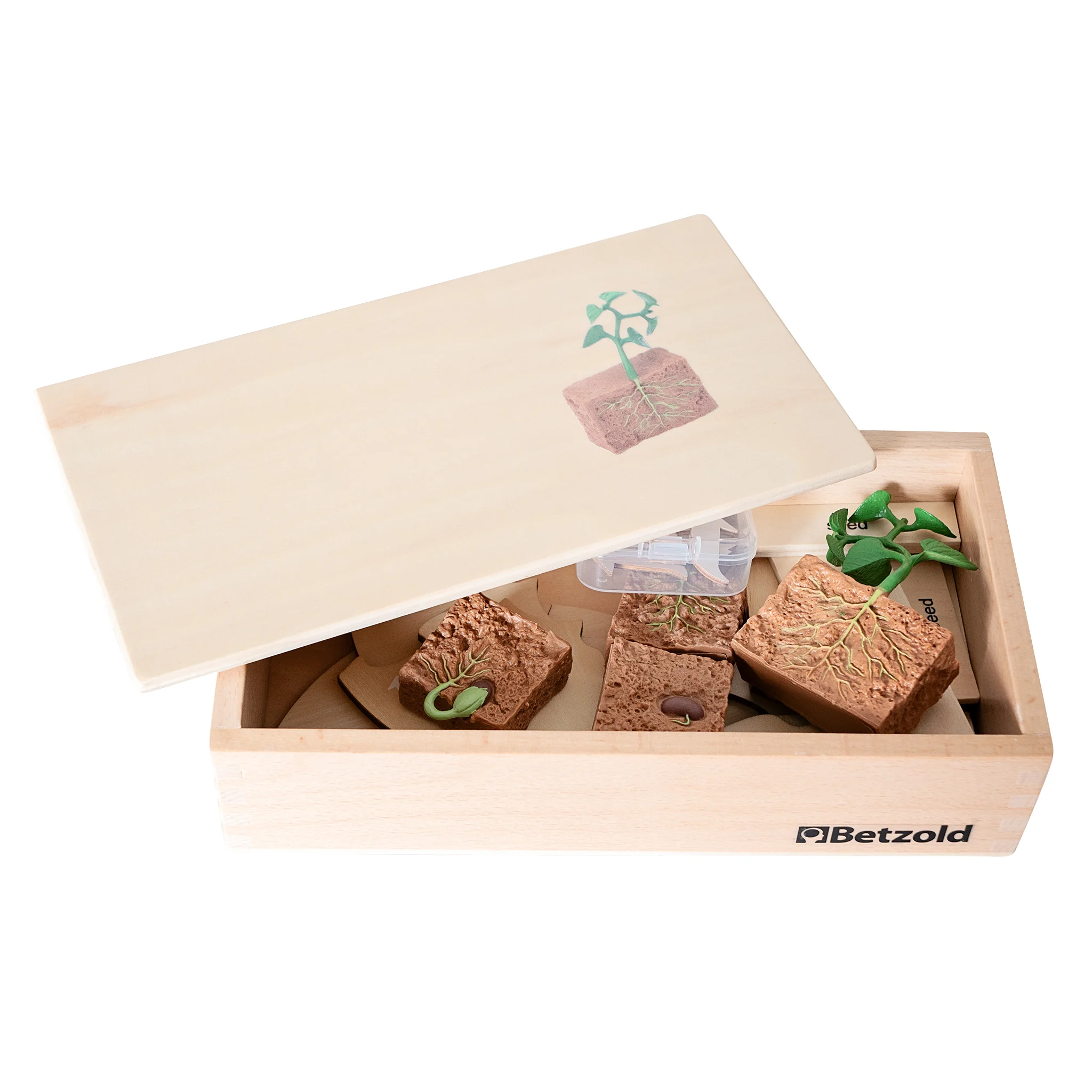 Modellbau, Torfstein, Pflanzen, Box, Holzbox