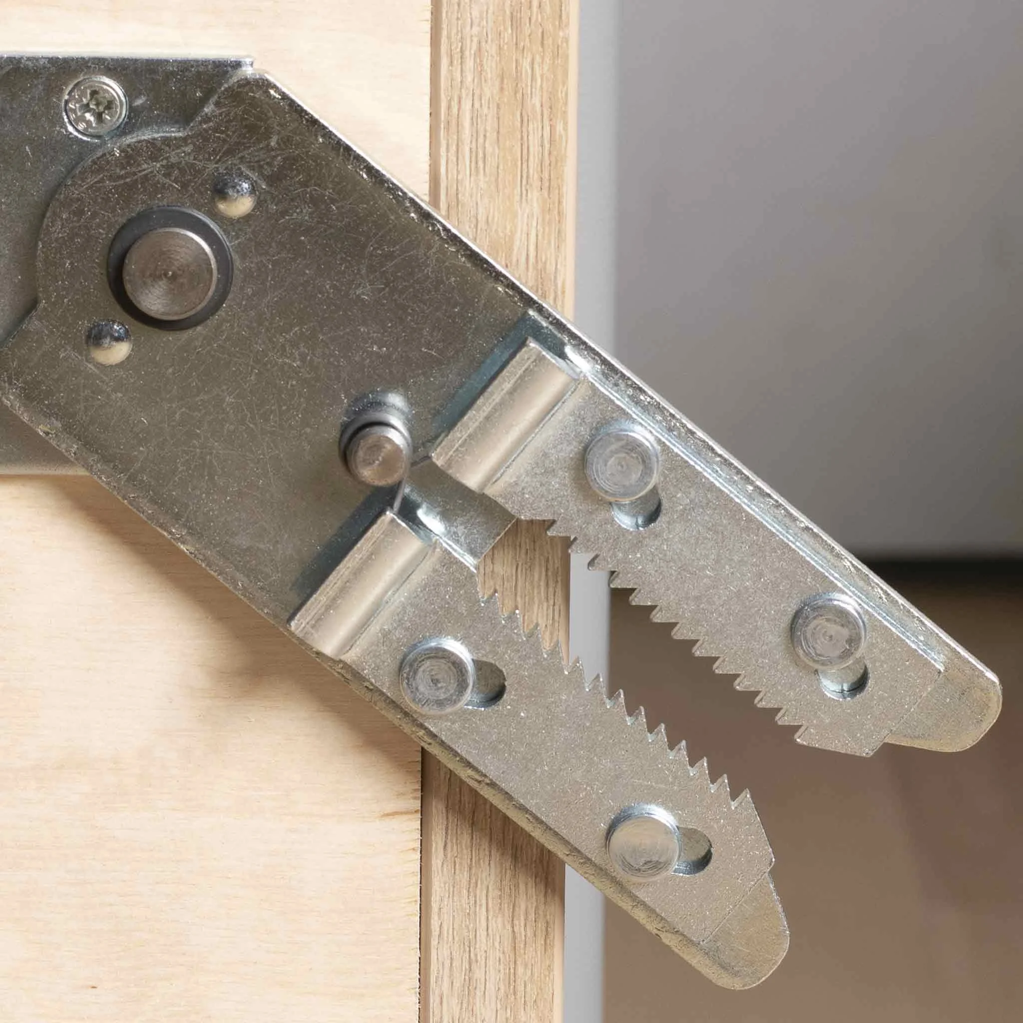Scharnier, Tellerfalle, Stahl, Metall, Holz