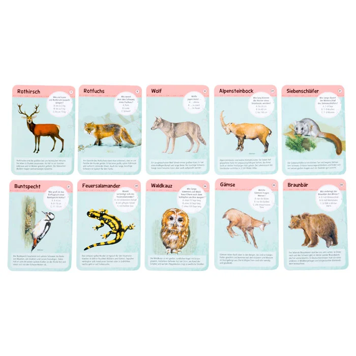 Wildtiere, Tierkarten, Reptilien und Säugetiere, Tierarten, Tierstämme