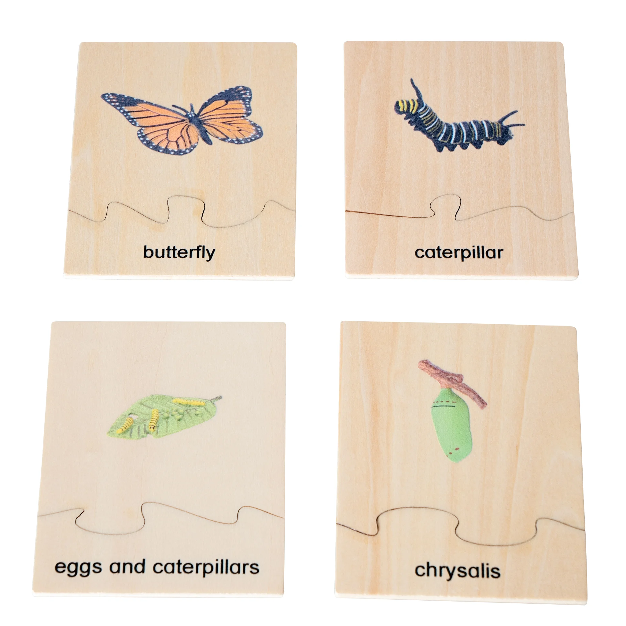Schmetterling, Raupe, Eier und Raupen, Chrysalis, Holzpuzzle