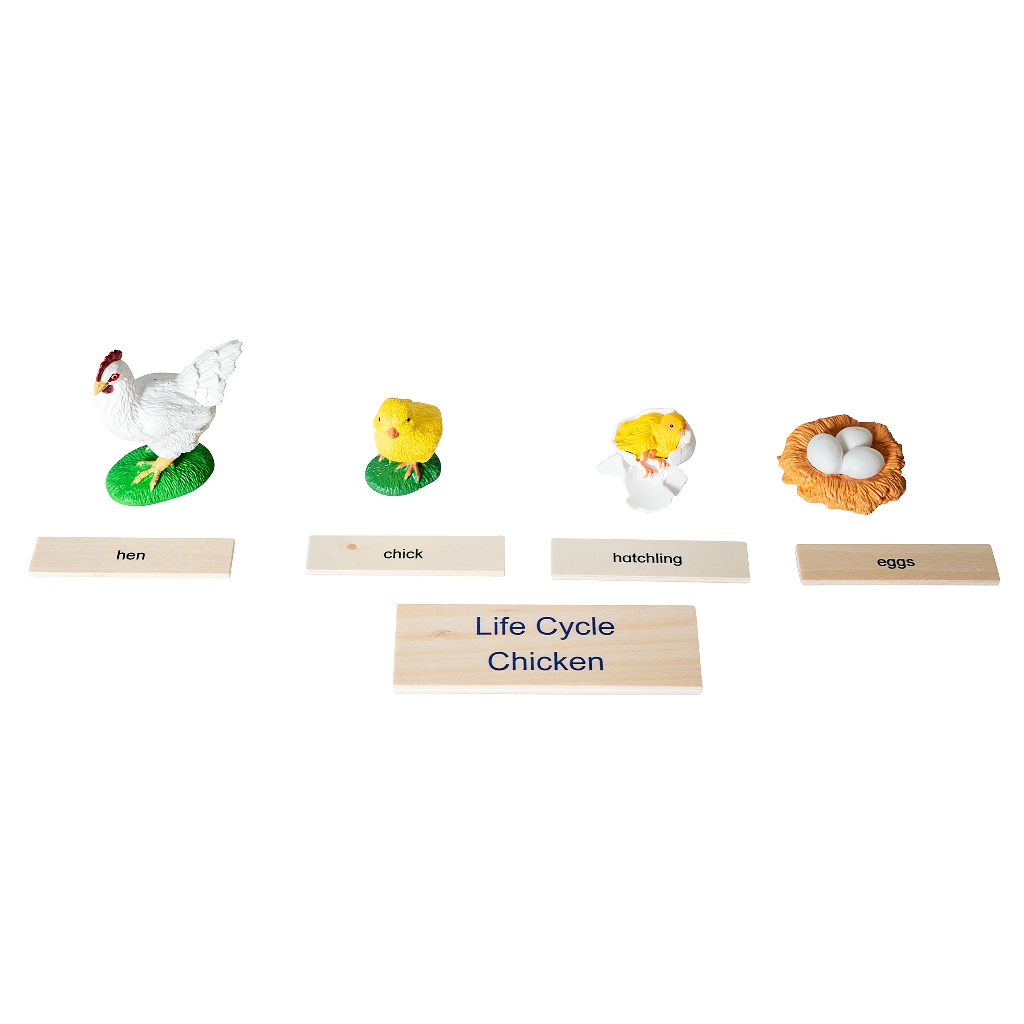 Huhn, Küken, Hatching, Ei, Lernspielzeug
