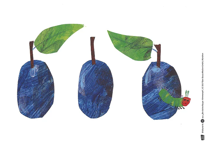 pflaumen, blaue pflaumen, obst, obst illustration, drei pflaumen