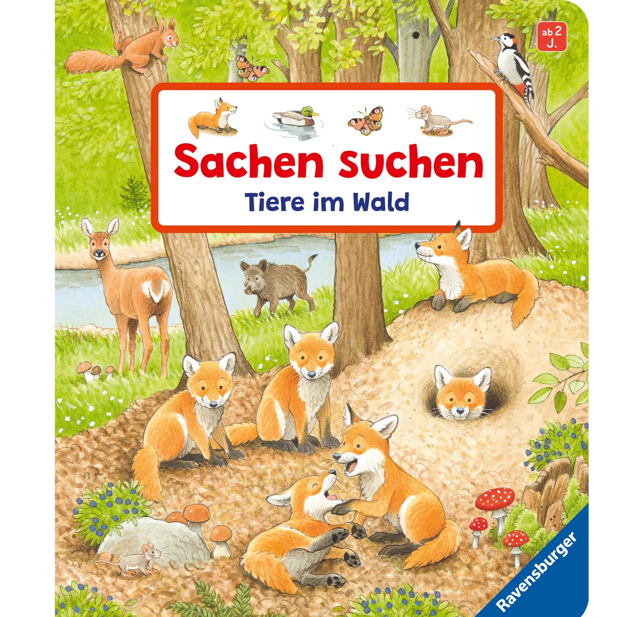 Tierwelt, Wald, Fuchs, Mäuschen, Pilze