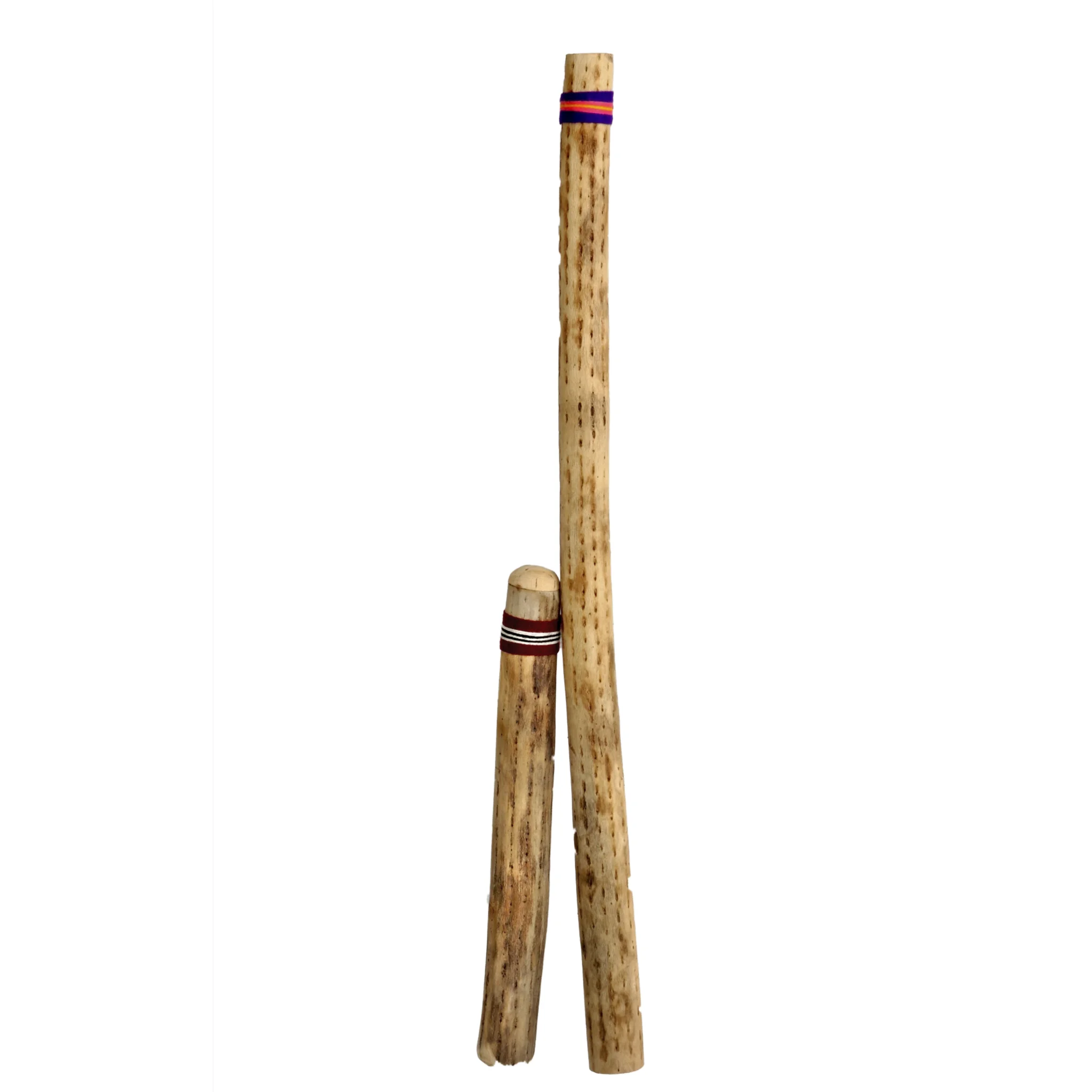 Rainmaker aus Kaktus, Ø 6 - 9 cm, 50 cm lang