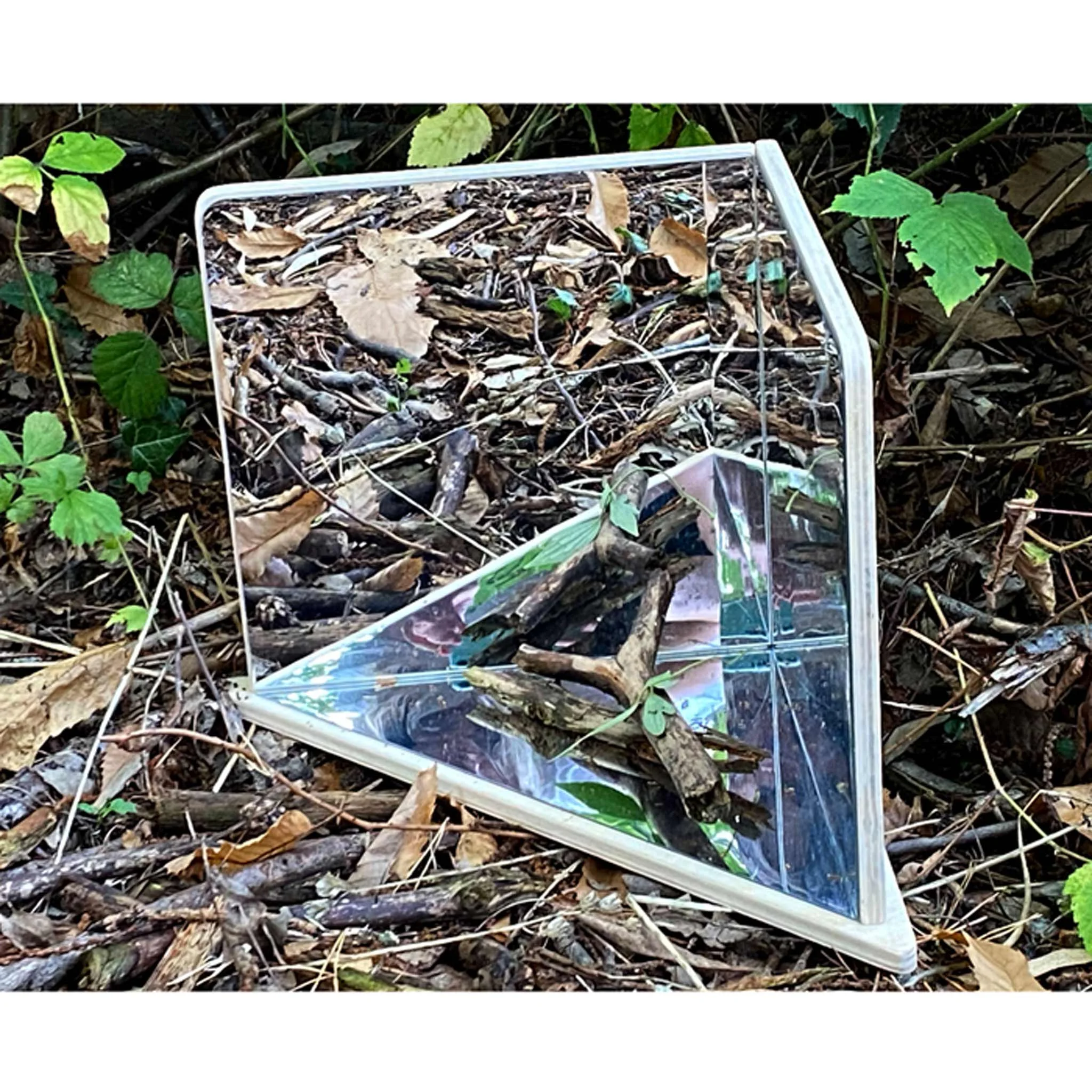 Spiegel, zerbrochene Spiegelfläche, Glassplitter, Spiegelglas im Freien, Laub und Zweige
