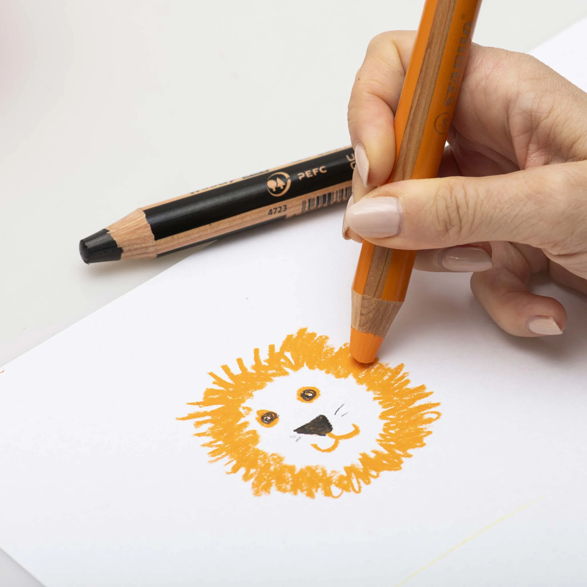 Buntstift, Skizzenpapier, Tierzeichnung, orangener Stift, Kunstwerk