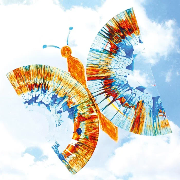 Schmetterling, Kunstflug, Farbige Flügel, Wellenschnitt, Hängebild