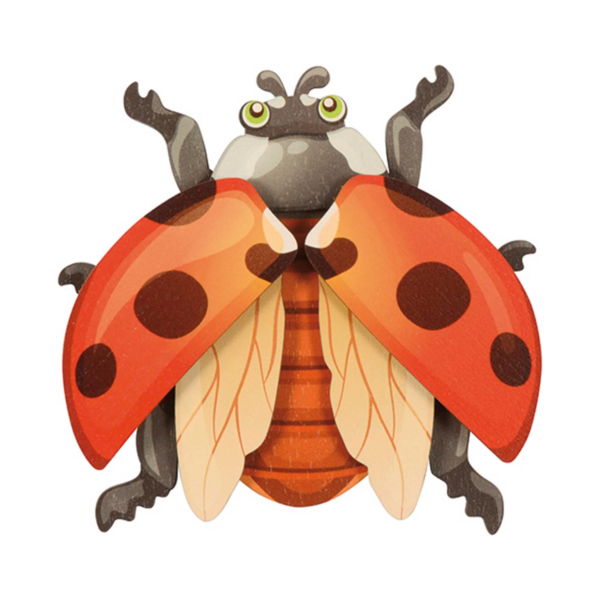 Marienkäfer, Insekten, Flecken, rot, Flügel