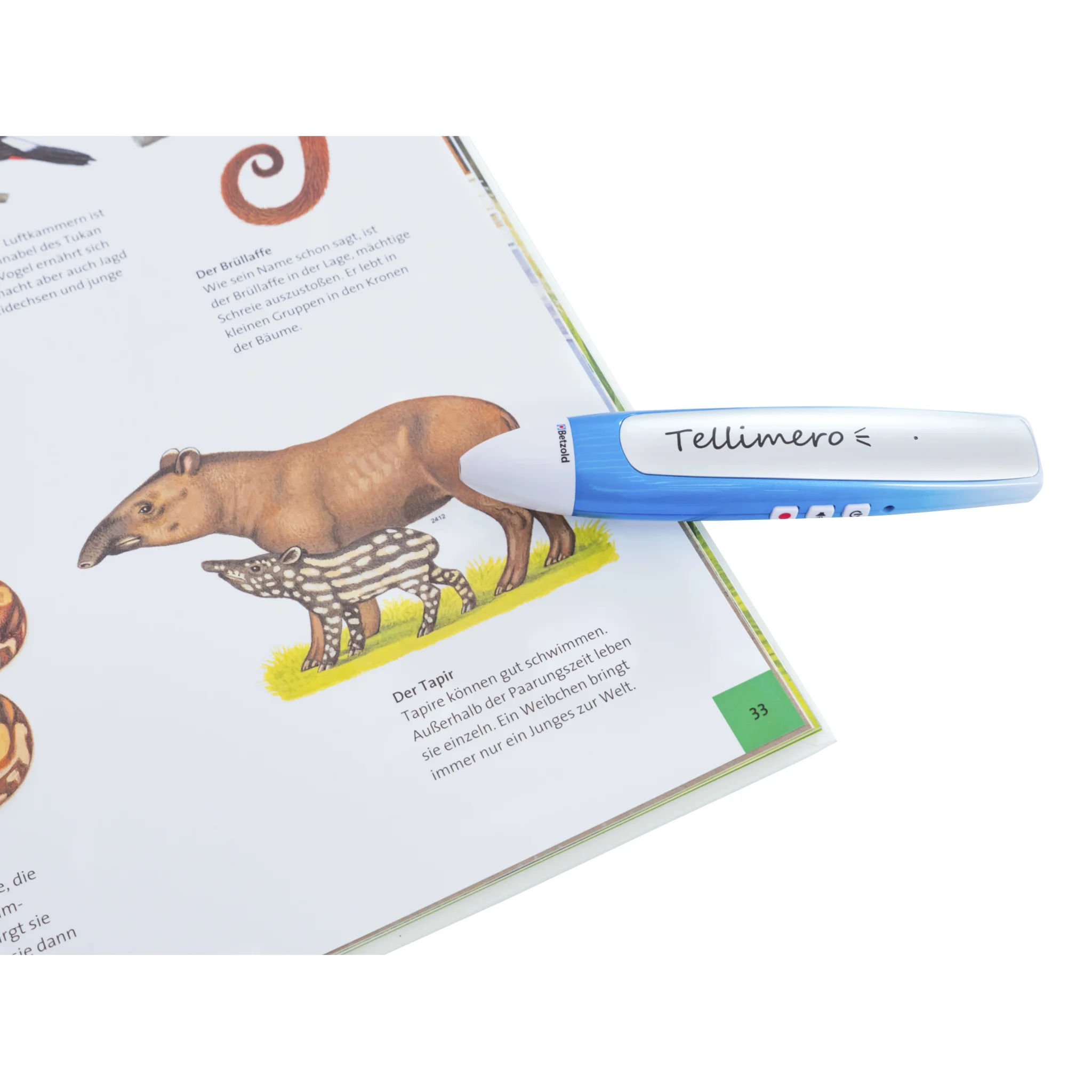 Kinderbuch, Tierbild, Stift, Illustration, Tiere