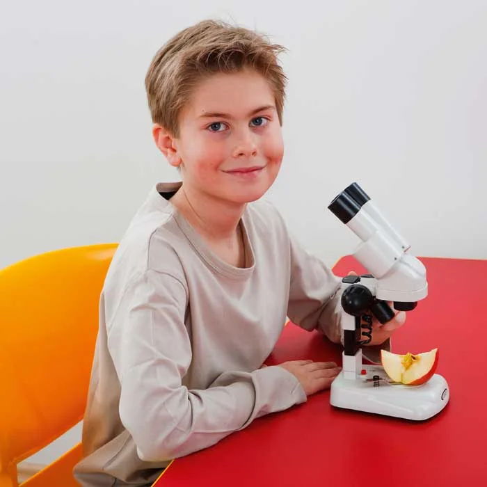 Mikroskop, Kinder, Labor­tisch, Objektträger, Apfel