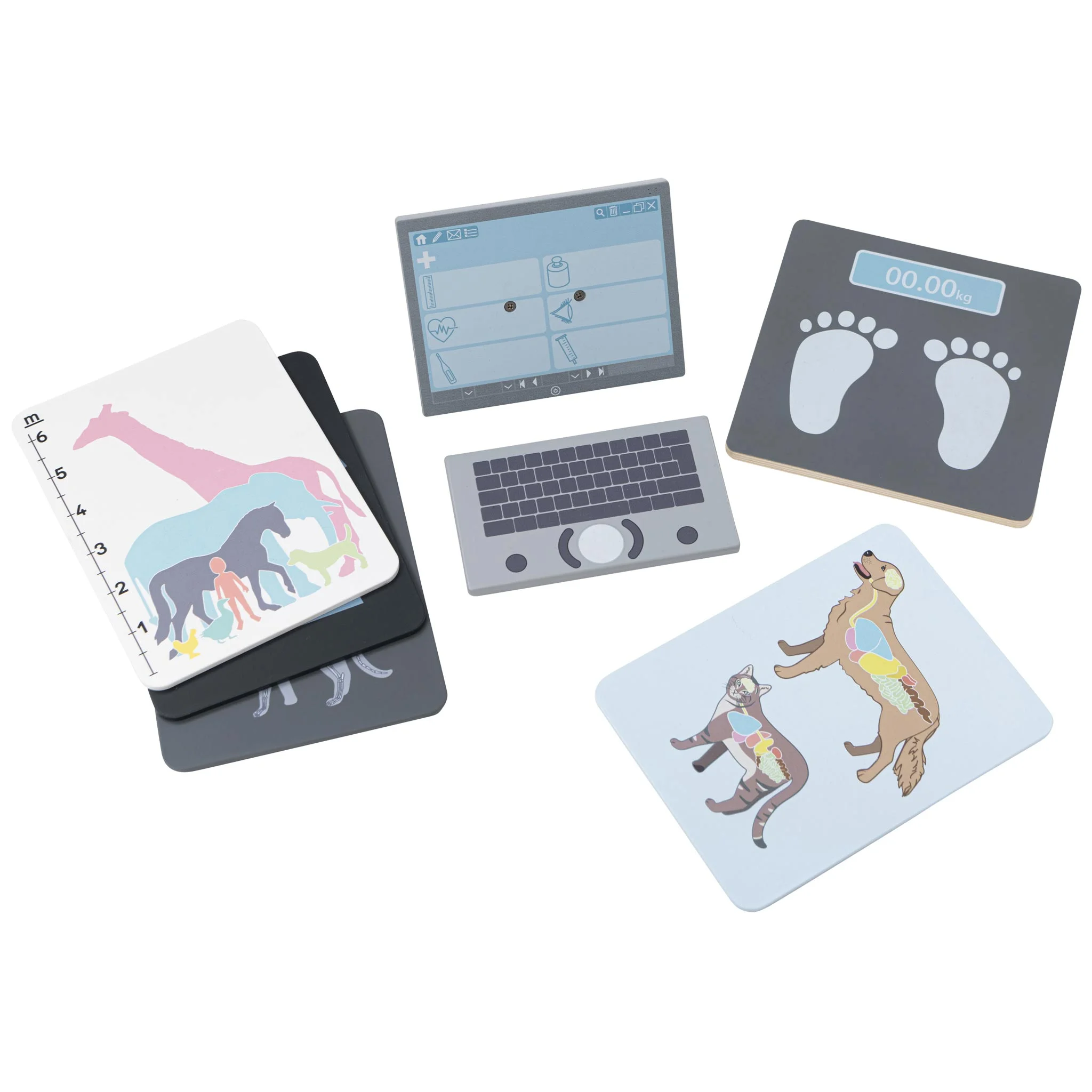 Puzzles, Tierkarten, Bildungsspiel, Tieranatomie, Kinderaktivität