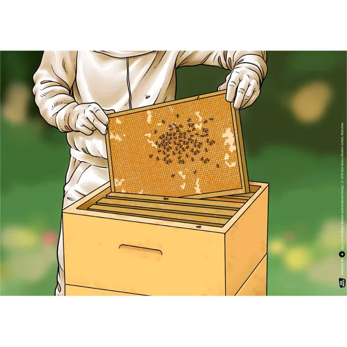 Bienenkorb, Beute, Beutenkasten, Wabenstock, Imkern