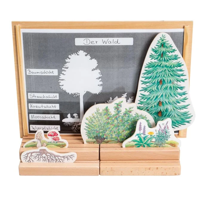 Holzspielzeug, Schichthierarchie, Waldschaustück, Holzbaumschichten, Naturset