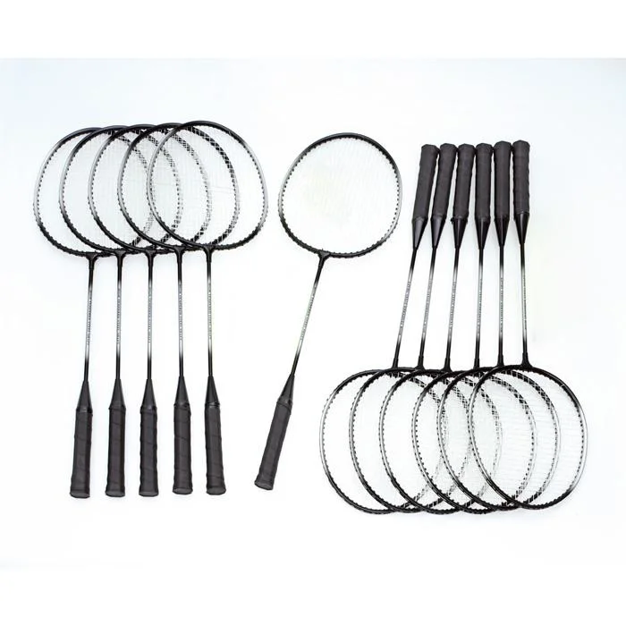 Schläger-Set, Schlaufscheiben, Badminton-Schläger, Nylon-Netz, Federball-Schläger