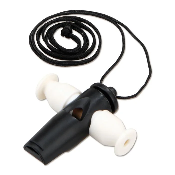 earphones, cord, necklace?