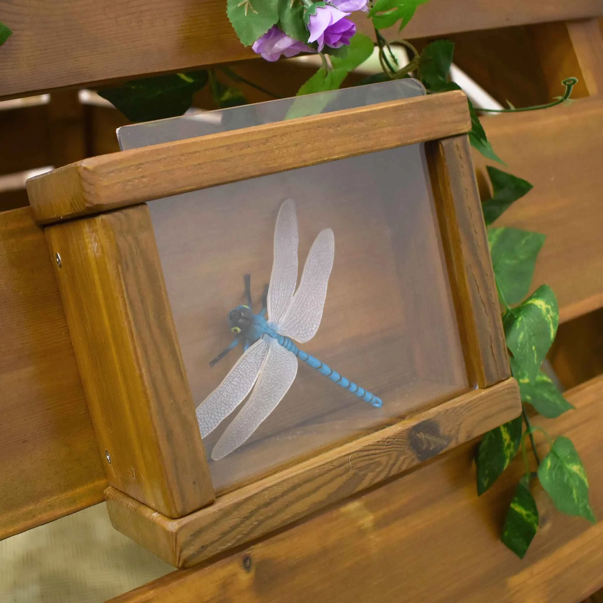 libelle bleu, dragonfly niveau bleu, cadre en bois, fiche sur verre, ornement en bois