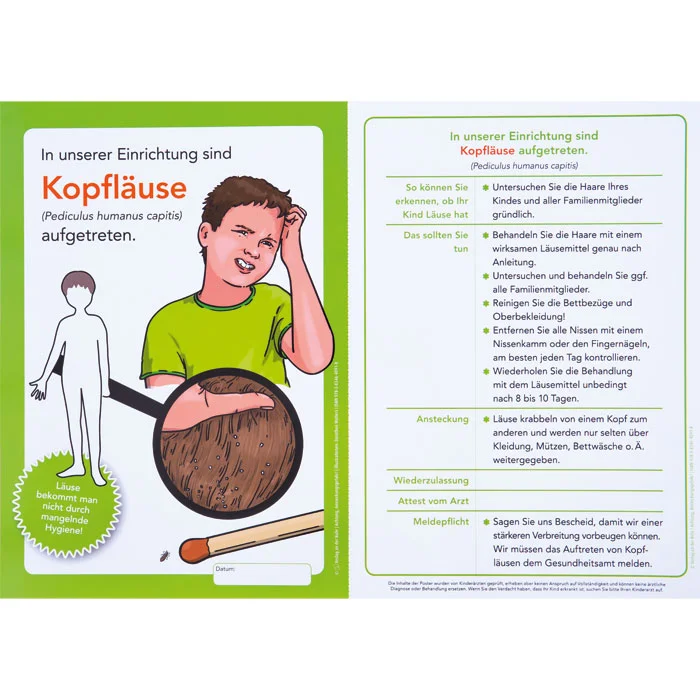 Kopfläuse, Kopfhaut, Läusebekämpfung, Infografik, Hygiene Hinweis