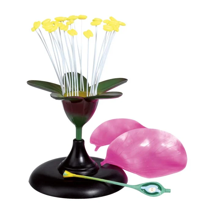 Modell Kirschblüte