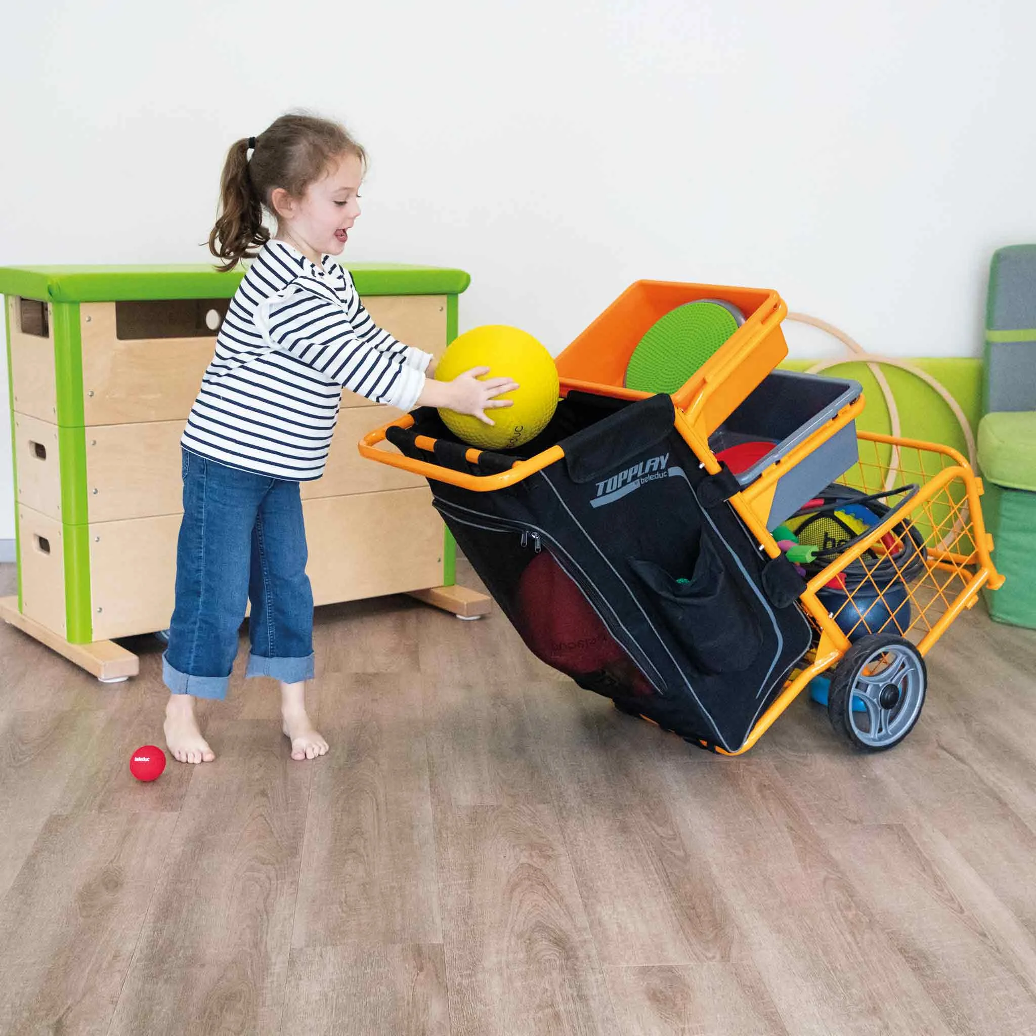 Kinder, Ballspiel, Rollwagen, Tasche, Spielzeugkorb