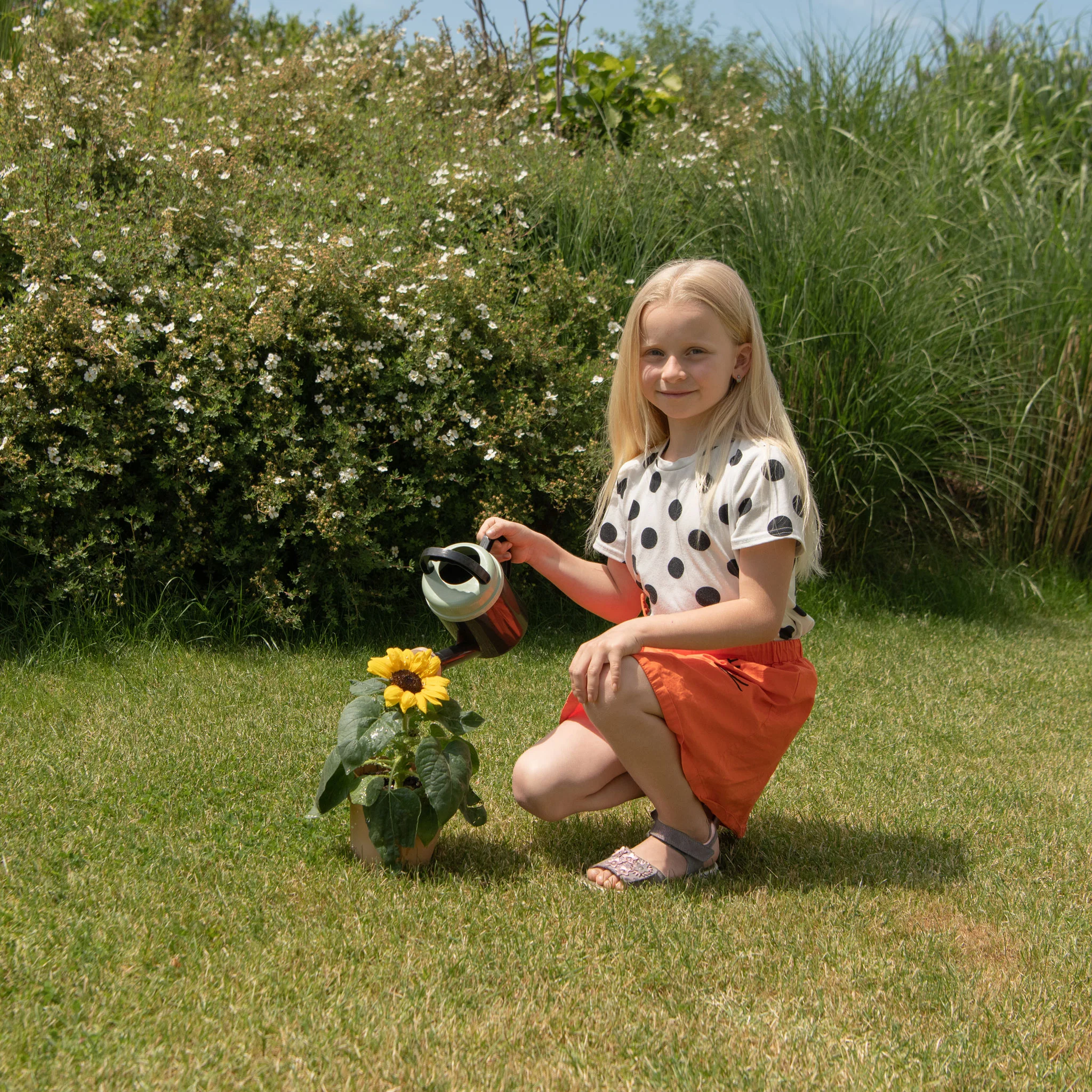 Kind, Garten, Pflanze, Gartenarbeit, Sonnenblume