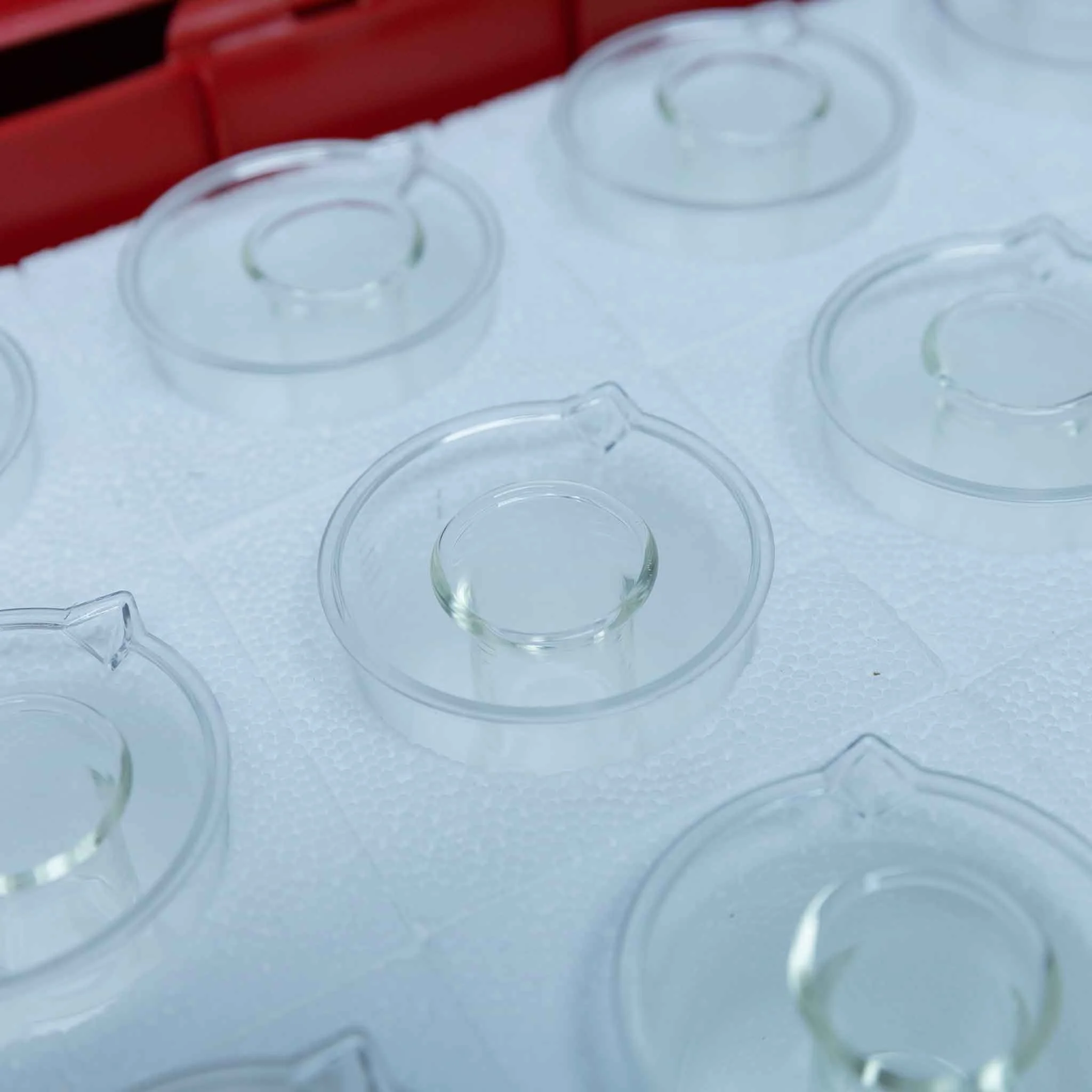 glas, Trinkgläser, klarglas, Sektgläser, Glasgeschirr