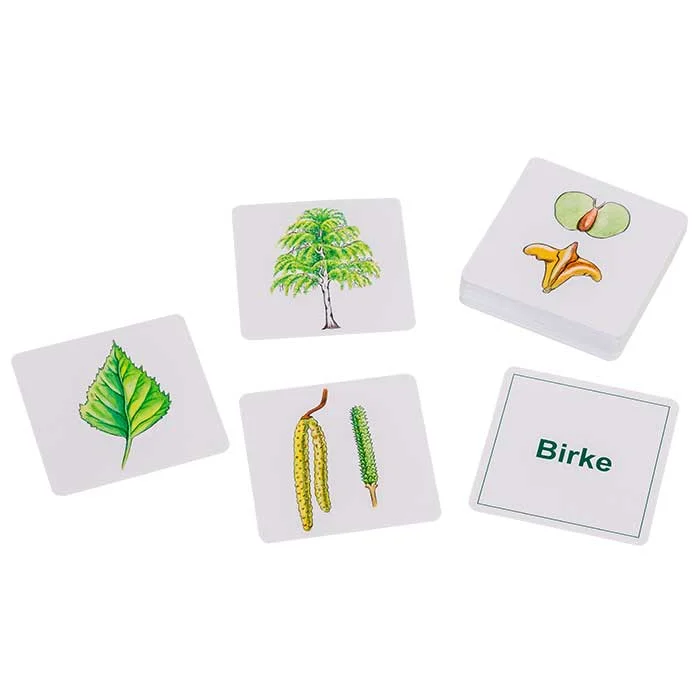 blatt, blattarten, pflanze, karten, bildkarten