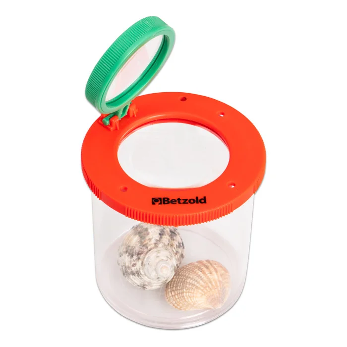 Unterwasser-Fundgrube, Schatzglas, Schneckenlampe, Glasbehälter, Schale mit Muscheln