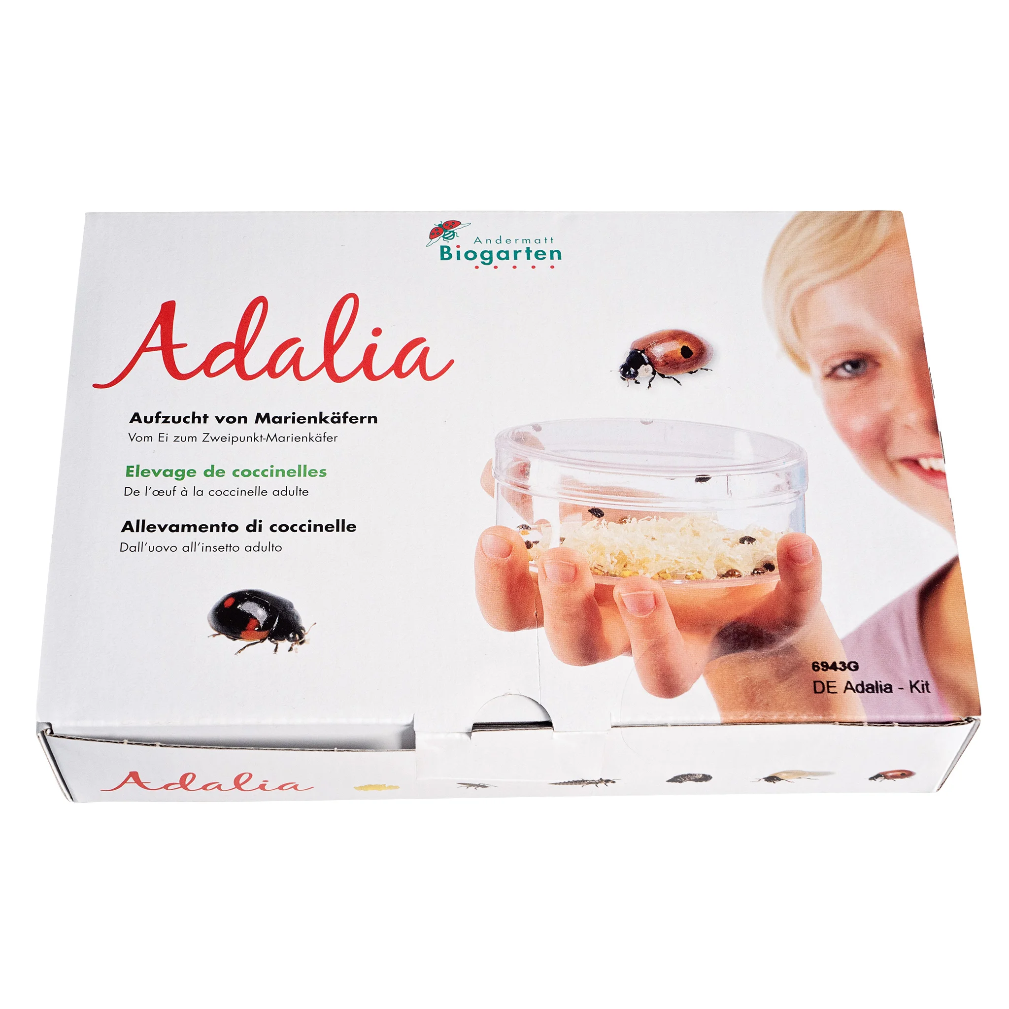 Marienkäfer-Zucht, Adalia Kit, Insektenzucht, Käferzucht, Biogarten Kit