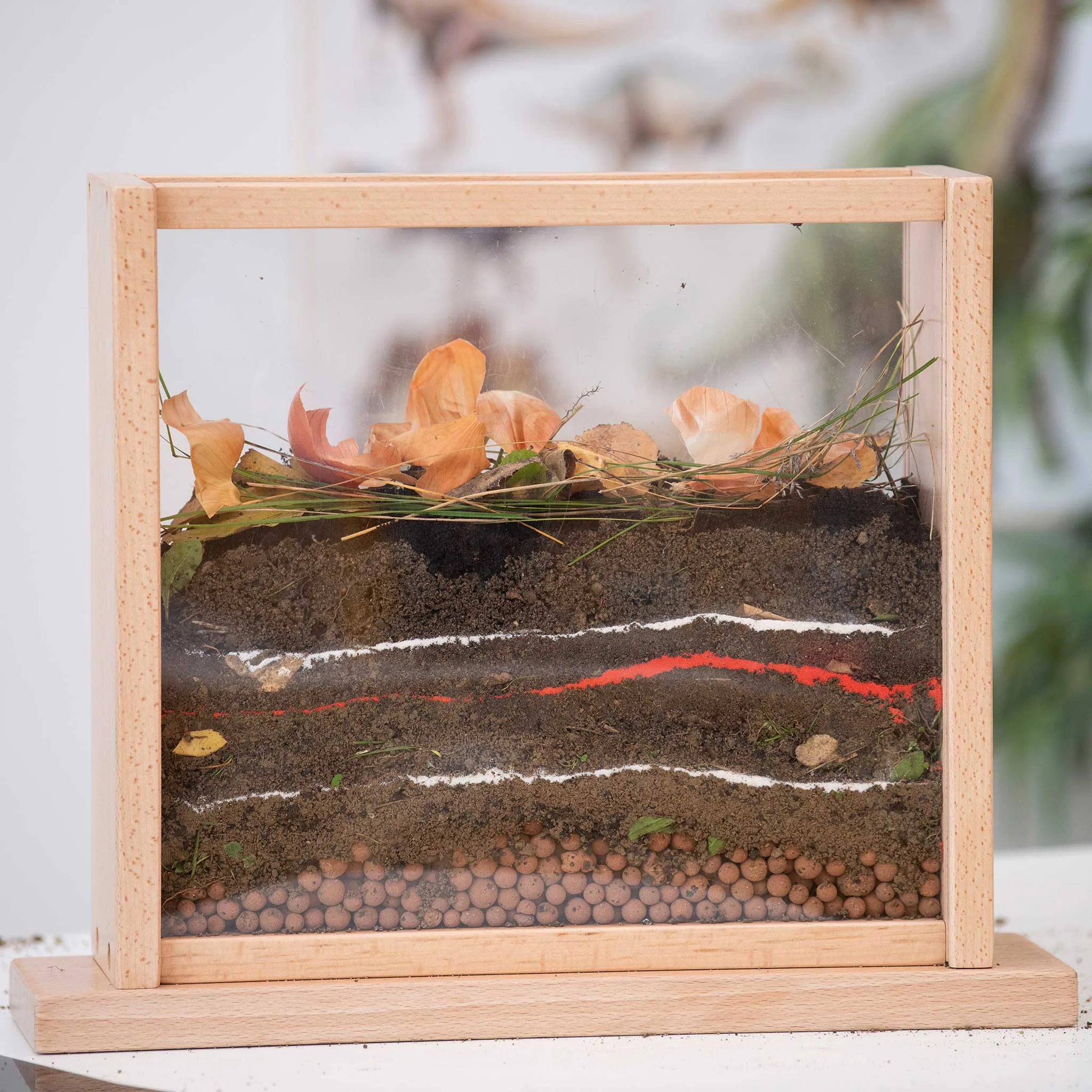 Terrarium, Glas, Holzrahmen, Erde, Kiesel