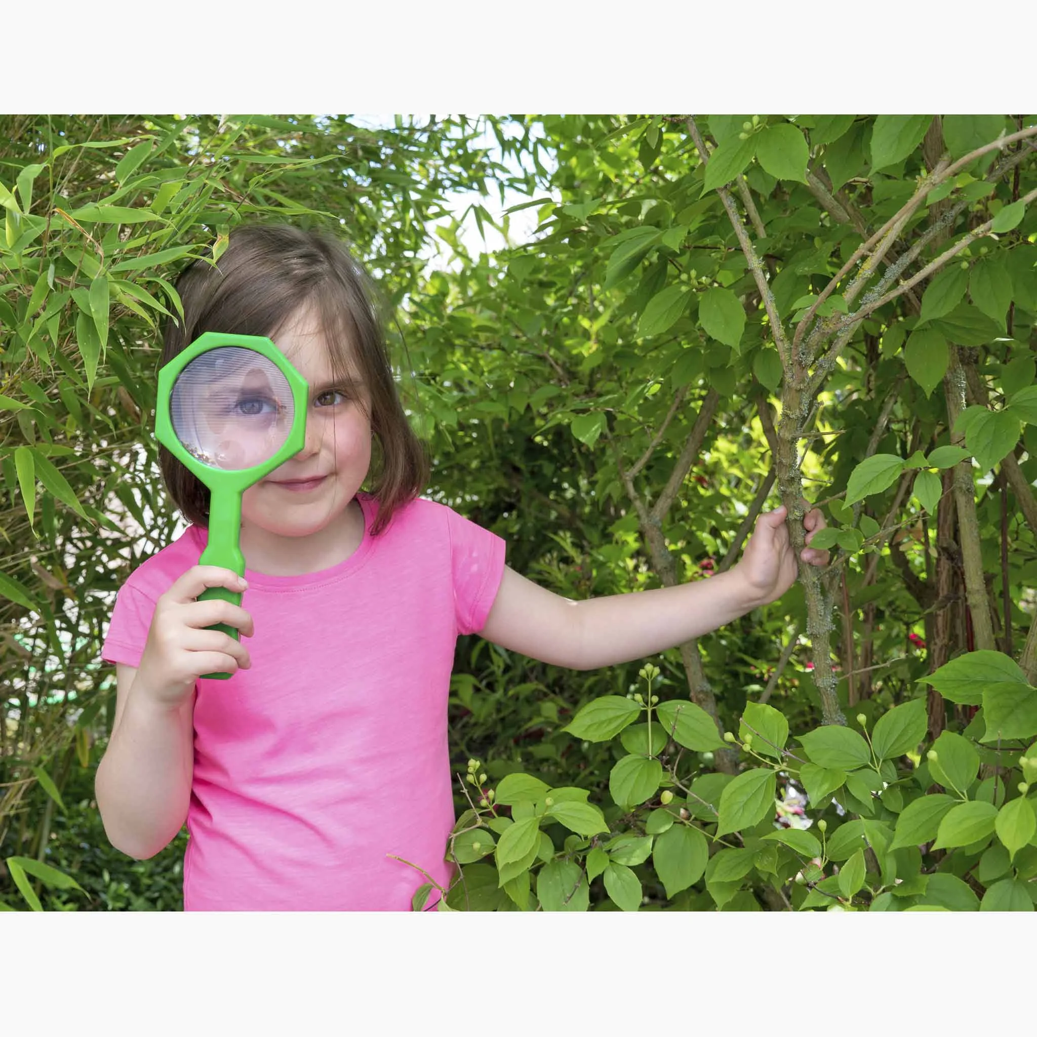 Kinder, Vergrößerungsglas, pink, T-Shirt, Natur
