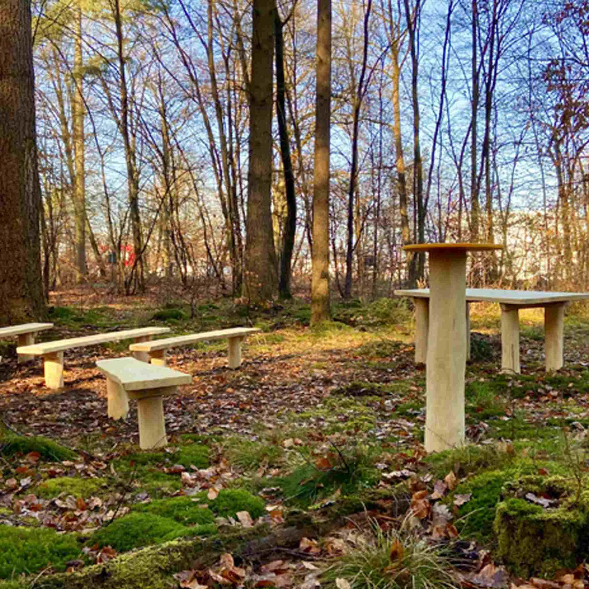 Park, Bank, Außenbereich Tisch, Steinbänke, Waldboden
