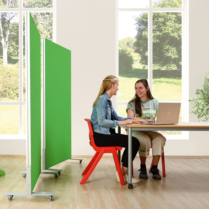 classroom, study area, laptop, students, partition
