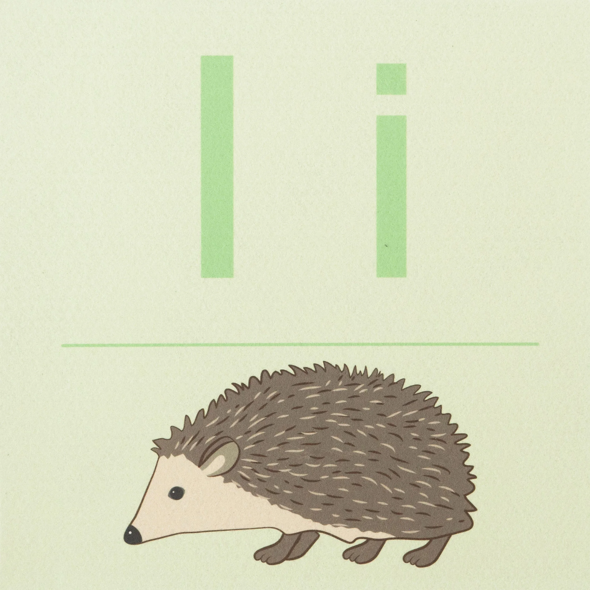 hedgehog, illustration, grün, linienkunst, tier