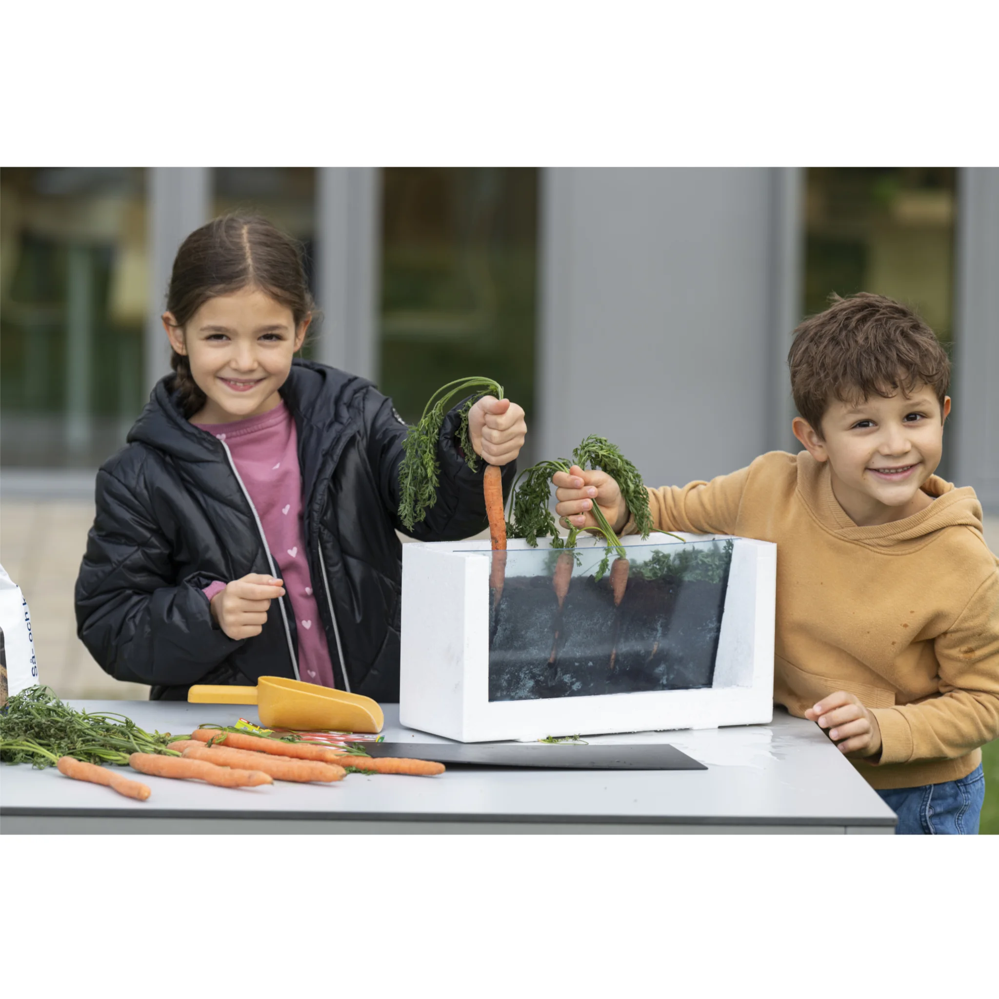 Kinder, Gartenarbeit, Karotten, Gartenwerkzeug, Hochbehälter