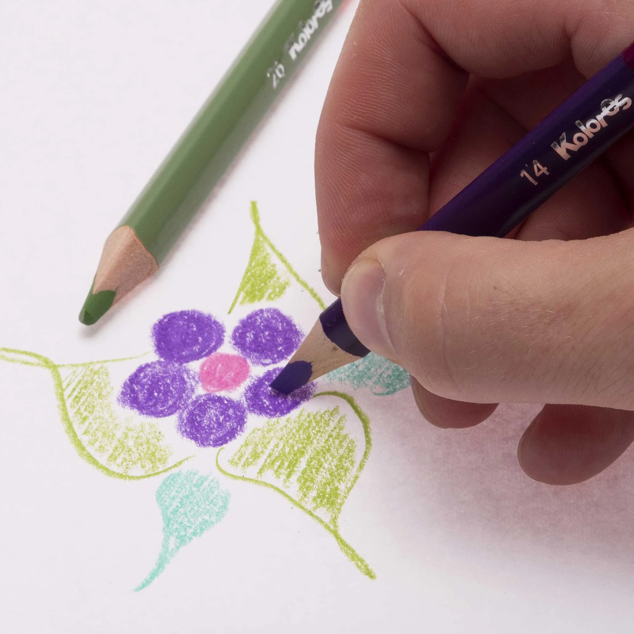 Buntstift, Buntstifte, Farbstifte, Grafikzeichnen, Blume