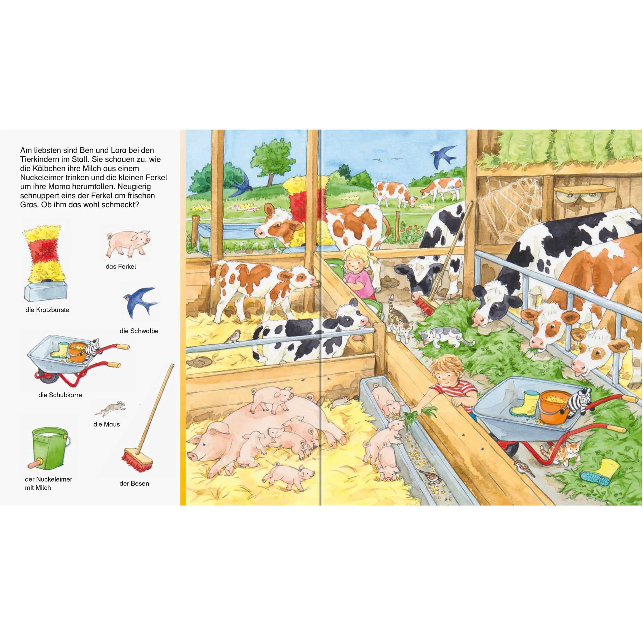Schweinchen, Kühe, Stall, Herde, Fütterung