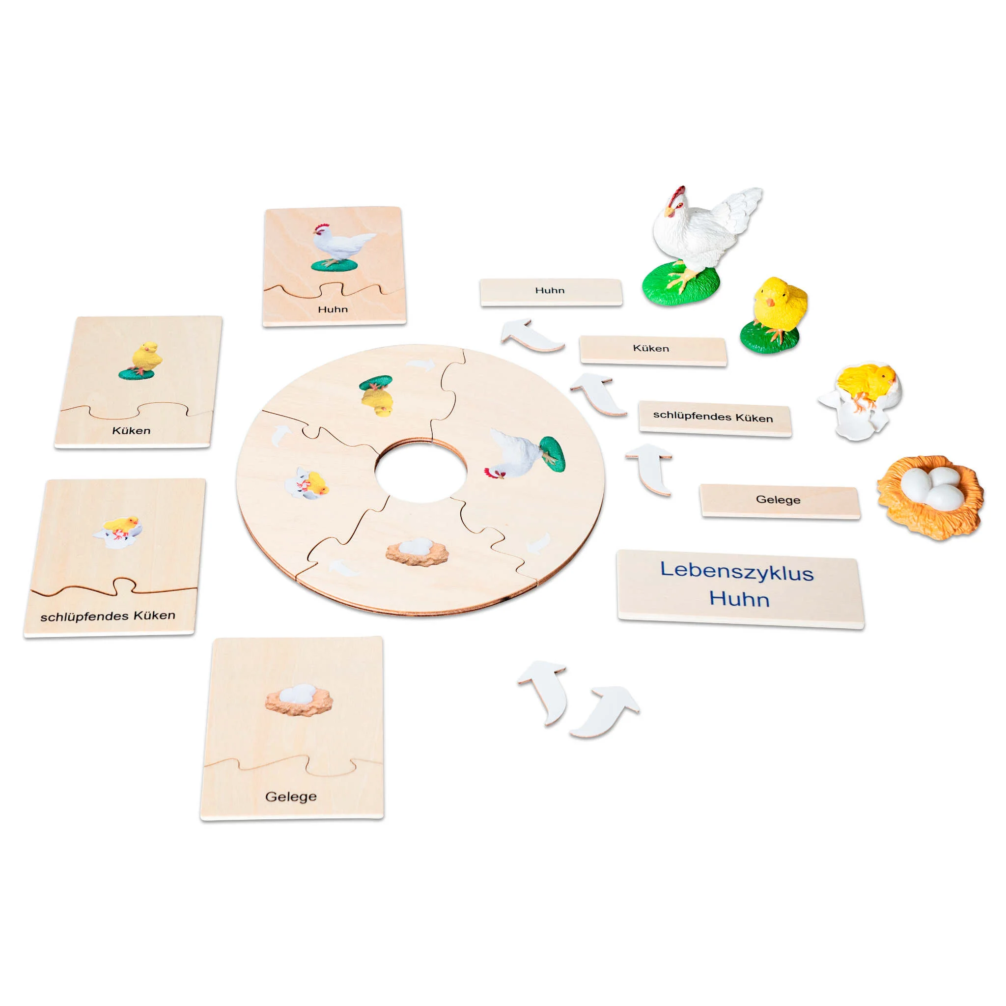Lebenszyklus-Puzzle, Huhn, Holz, Küken, Lernspiel