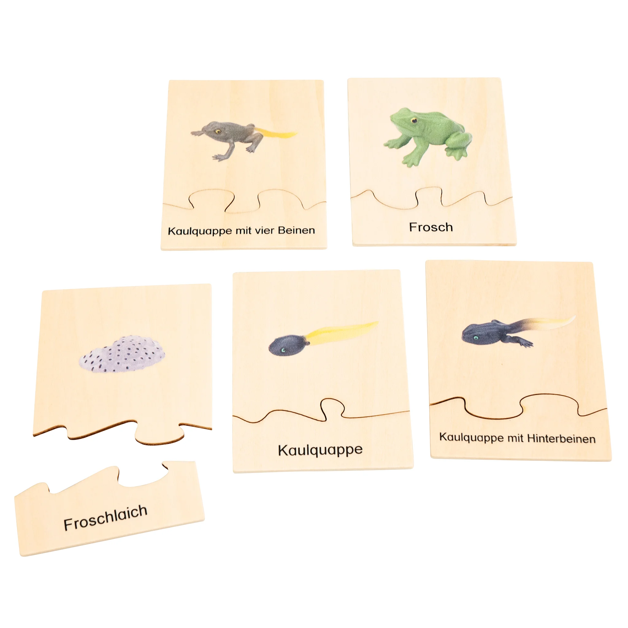 Holzpuzzle, Leprepon Tiere?, Badges?