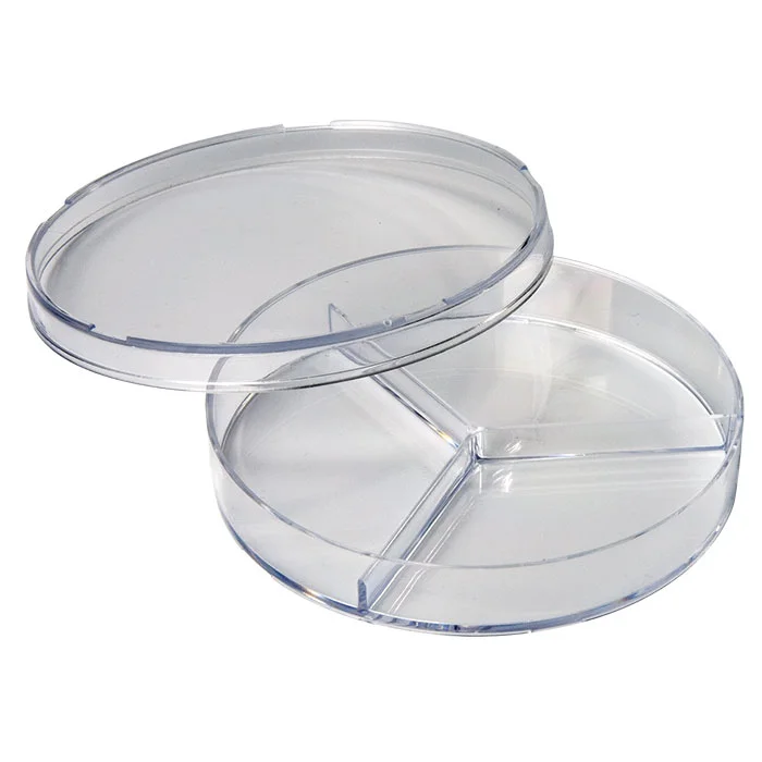 Teller, Schale, Aufbewahrungsbehälter, Divisor, Transparent