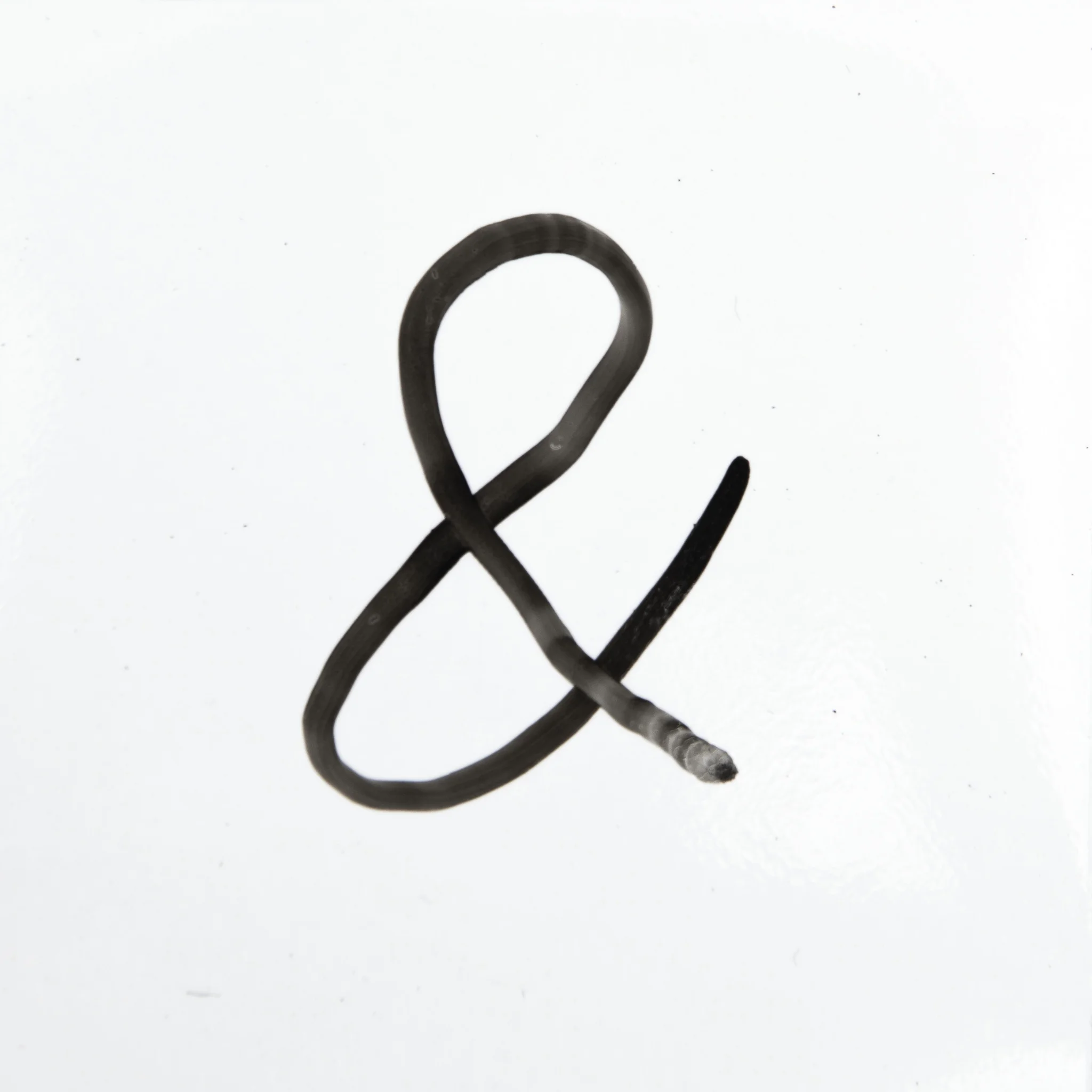 Schleife, gezeichnete Markierung, schwarze Strich, Grafik, Symbol