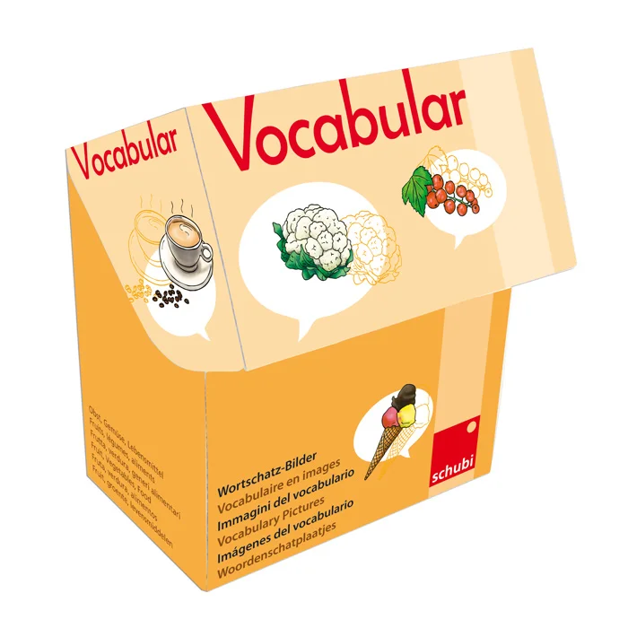 Wörterbuch, Vokabular, Bilderset, Kartenbox, Lernmaterialien