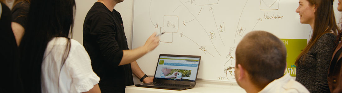 Mitarbeiter im E-Commerce mit Schwerpunkt Artikelpflege