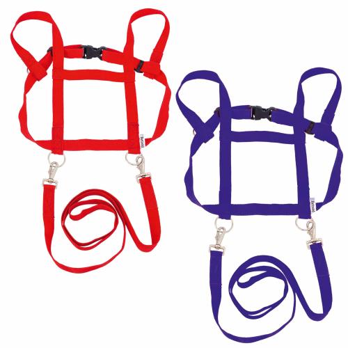 Pferdeleine Einspänner 