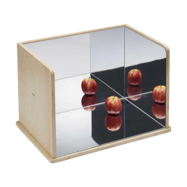 Großer Forscherspiegel 