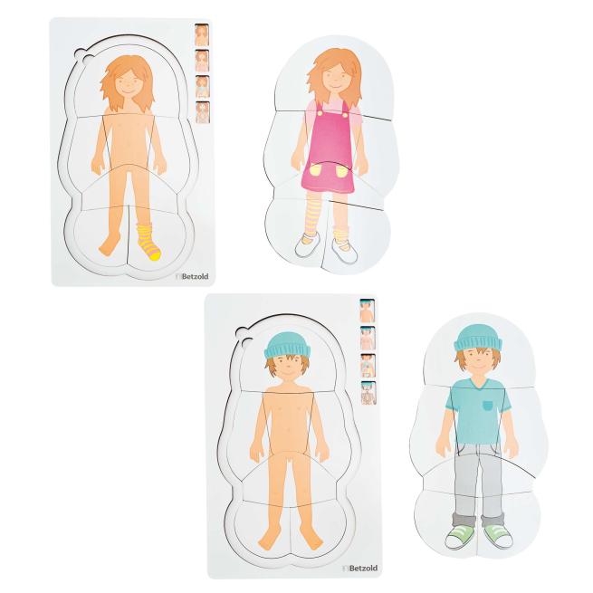 Lagenpuzzle Anatomie 