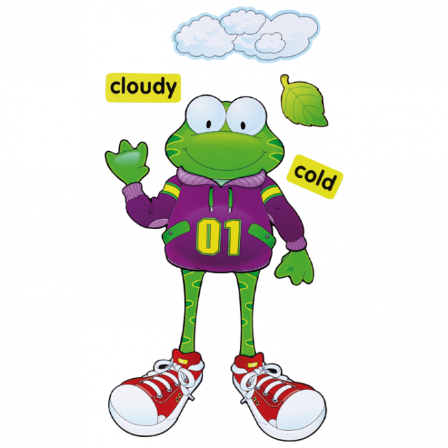 Weather Frog 