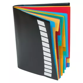 Ordnungsmappe mit 12 Registern