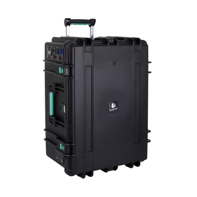 Transportkoffer, Hartschale, Rolling-Case, Griff, Grüne Akzente