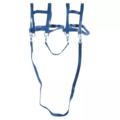 harness, Gurt, Befestigungsgurt, Körperharnisch, blau