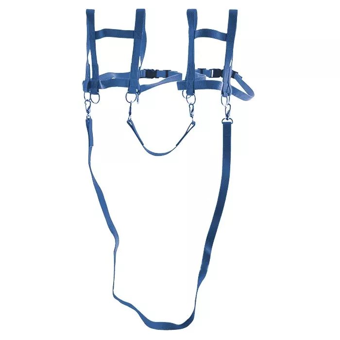 harness, Gurt, Befestigungsgurt, Körperharnisch, blau